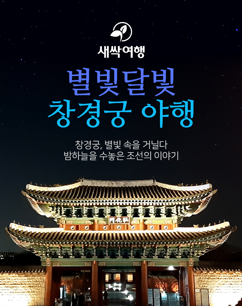 별빛 달빛
창경궁 야행