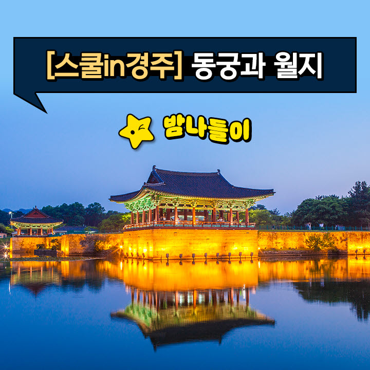 스쿨in경주
동궁과 월지 밤나들이